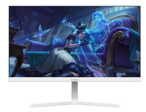 N2455PRO-W, White23.8" FHD@100HZ IPS Monitor