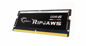 G.SKILL Ripjaws DDR5-5600 CL46-45-45-89 1.10V 16GB (1x16GB) Black DDR5 Memory SODIMM - F5-5600S4645A16GX1-RS