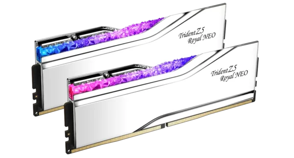 G.SKILL Trident Z5 Royal Neo DDR5-6000 64GB (2x32GB) Dual Channel Memory Kit with AMD EXPO and RGB Lighting - F5-6000J2836G32GX2-TR5NS