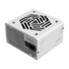 PIC24300000000012308 FSP VITA GM 750W White 80 PLUS Gold ATX 3.1 PCIe 5.1 Fully Modular Power Supply - VITA-750GM W