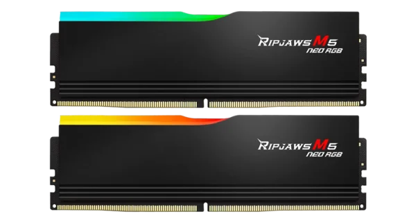G.SKILL Ripjaws M5 Neo RGB  Black, DDR5 6000MT/s 64GB (2x32GB) CL30 AMD EXPO Memory - F5-6000J3040G32GX2-RM5NRK