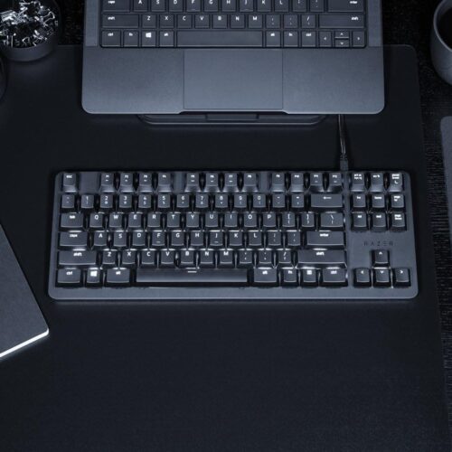 Razer BlackWidow Lite Silent Mechanical Gaming Keyboard Orange Switches Tenkeyless - RZ03-02640100-R3M1