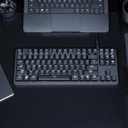 Razer BlackWidow Lite Silent Mechanical Gaming Keyboard Orange Switches Tenkeyless - RZ03-02640100-R3M1