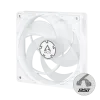 ARCTIC P12 PWM PST 120 mm Case Fan Fluid Dynamic Bearing White Transparent Single Fan or 5 Pack - ACFAN00132A