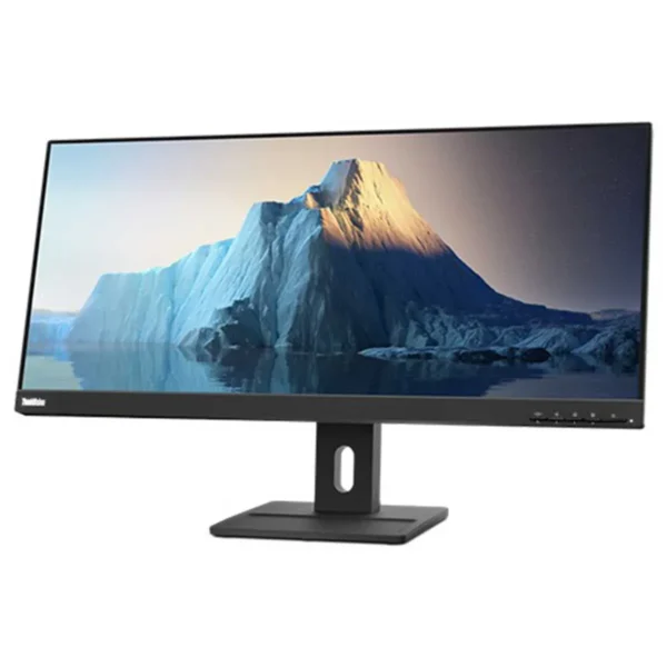 Lenovo ThinkVision E29w-20 29-inch Ultrawide IPS 90Hz LCD Monitor  - 62CEGAR3WW