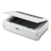 Epson Expression 13000XL A3 Flatbed Photo Scanner 2400dpi 48-bit Colour - B11B257502
