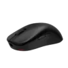 U2-DW_FL45 ZOWIE U2-DW 4K Wireless Gaming Mouse Symmetrical 4000Hz Polling 60g Medium - U2-DW