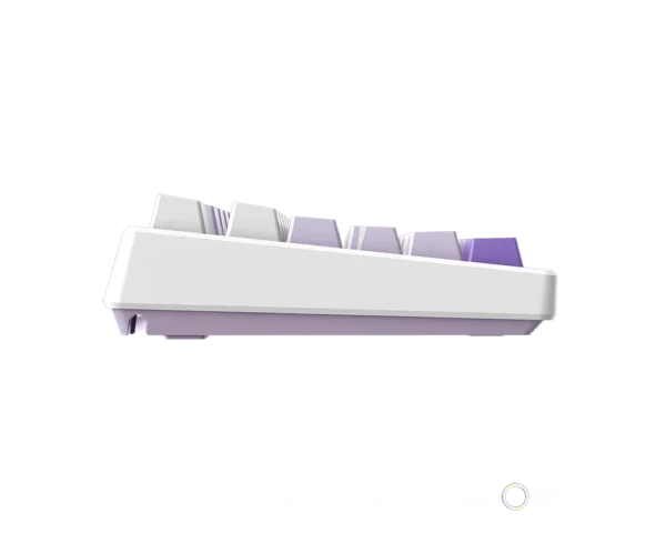 MSI Forge TKL Wireless Frieren Edition Linear Mechanical Gaming Keyboard - Forge TKL with Friefren Edition