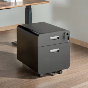 LUMIVIDA 2-Drawer Locking Mobile File Cabinet with Adjustable File Rack and Nylon Casters - CAB03-1