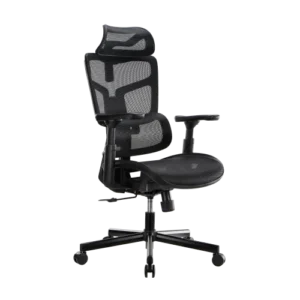 LUMIVIDA Ergonomic Office Chair with Adjustable Headrest Backrest Lumbar Support and 3D Armrests 150kg Capacity - CH10-10