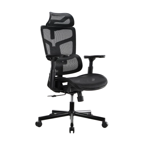 LUMIVIDA Ergonomic Office Chair with Adjustable Headrest Backrest Lumbar Support and 3D Armrests 150kg Capacity - CH10-10