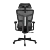 67b7d4d47f10891d89e03d68 LUMIVIDA Ergonomic Office Chair with Adjustable Headrest Backrest Lumbar Support and 3D Armrests 150kg Capacity - CH10-10