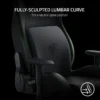 Razer Lumbar Cushion - Memory Foam Gaming Chair Lower Back Support Cushion - Black Velvet - RC81-03830101-R3M1