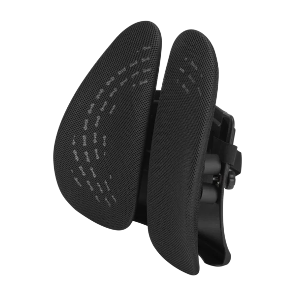 LUMIVIDA Ergonomic Lumbar Support Cushion with Breathable Mesh Cover and PP Cotton Filling for Back Pain Relief - RLC03-1