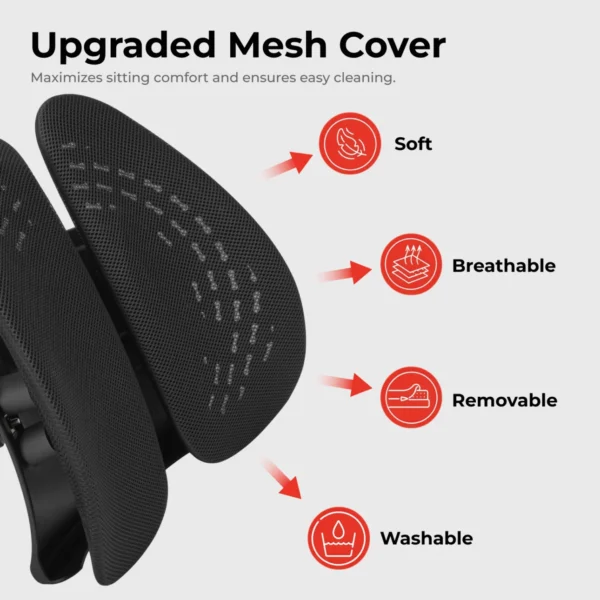 LUMIVIDA Ergonomic Lumbar Support Cushion with Breathable Mesh Cover and PP Cotton Filling for Back Pain Relief - RLC03-1