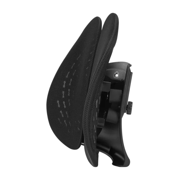 LUMIVIDA Ergonomic Lumbar Support Cushion with Breathable Mesh Cover and PP Cotton Filling for Back Pain Relief - RLC03-1
