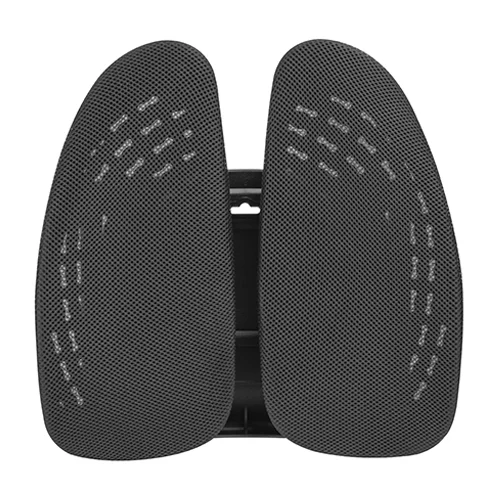 LUMIVIDA Ergonomic Lumbar Support Cushion with Breathable Mesh Cover and PP Cotton Filling for Back Pain Relief - RLC03-1
