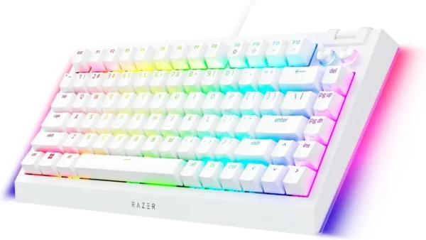 61Y2uEARkZL._AC_SL1500_ Razer BlackWidow V4 75% Hot-Swappable Tactile Mechanical Gaming Keyboard White Edition - RZ03-05001700-R3M1